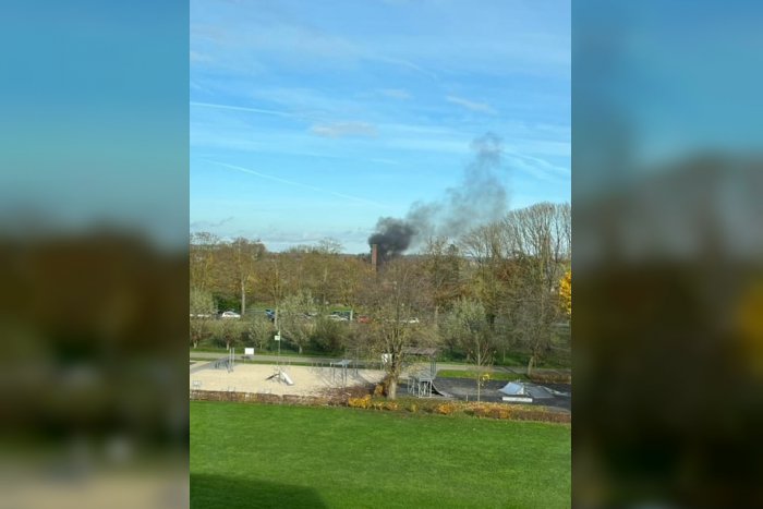 Halle: Feuerwehreinsatz wegen Rauchsäule