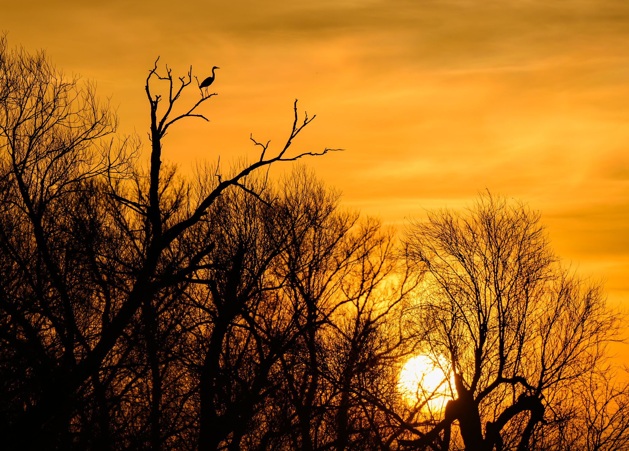 Ungewöhnlich mildes Novemberwetter zum Wochenbeginn