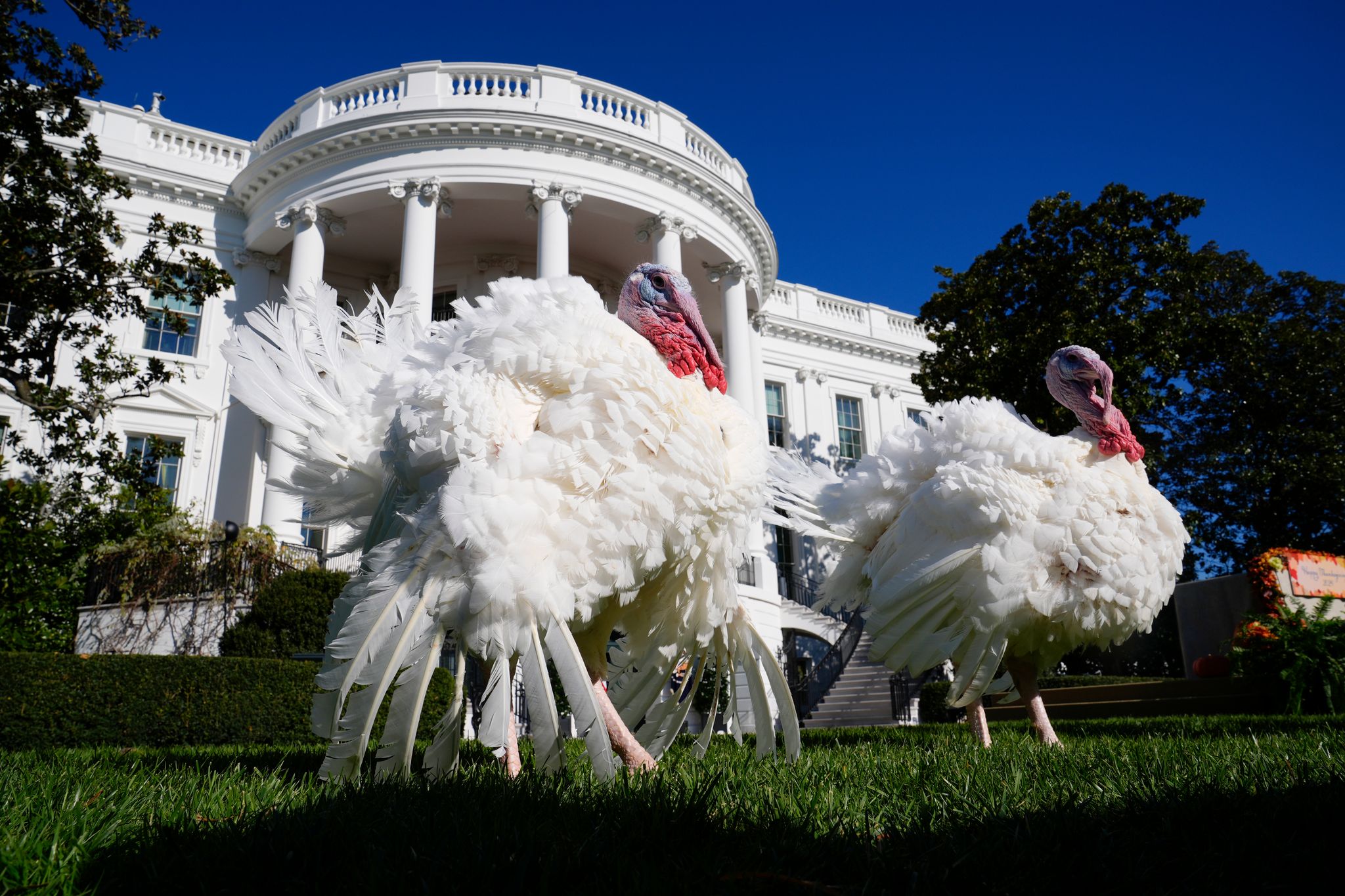 US-Medien geben Tipps für ein harmonisches Thanksgiving