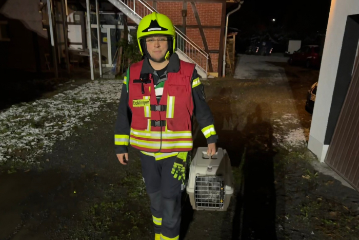 Eicklingen: Feuerwehr rettet Katzen