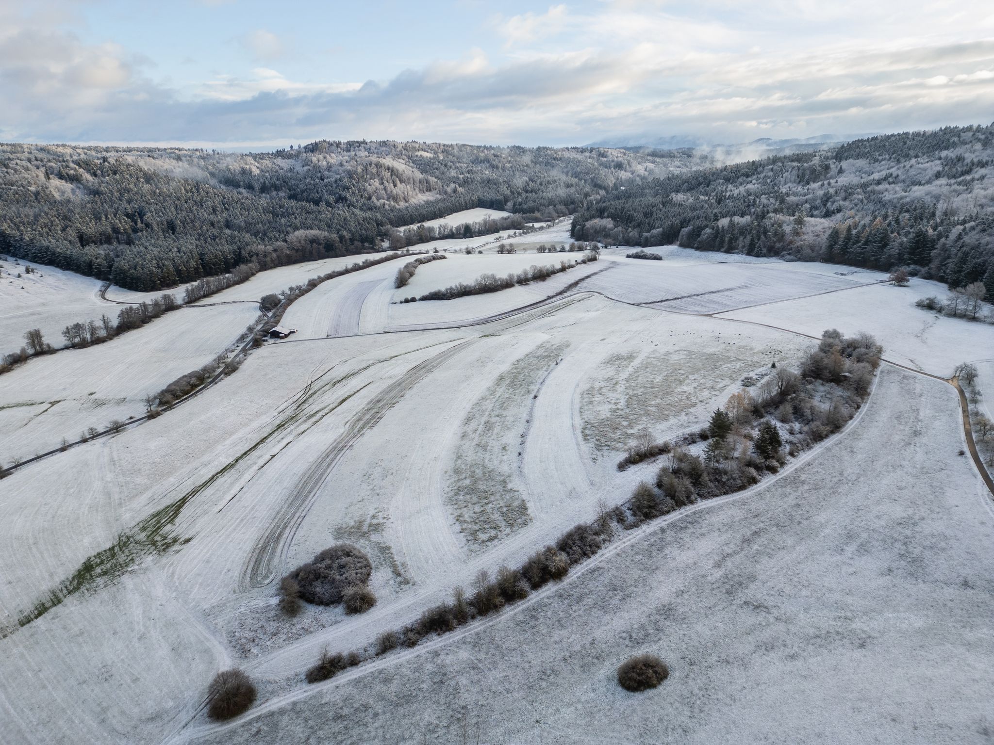 Frostige Aussichten: Schnee und Eis in Deutschland