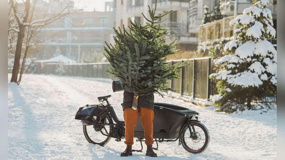 Nachhaltige Alternativen für den Weihnachtsbaum