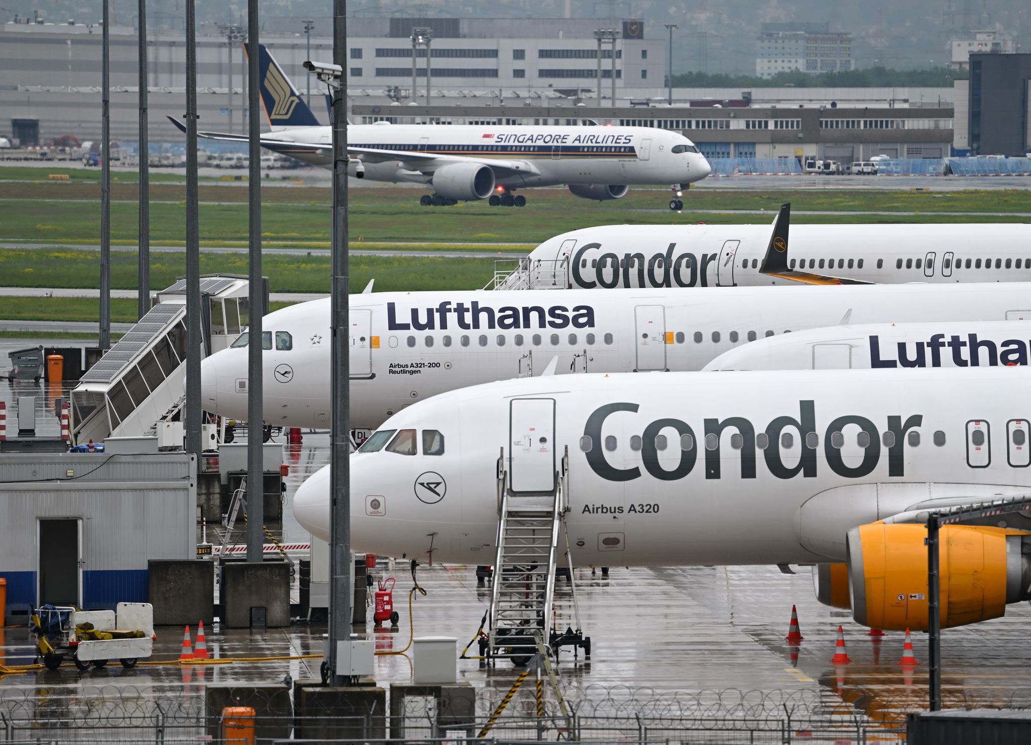 Condor reduziert Nordamerika-Programm wegen Streit mit Lufthansa