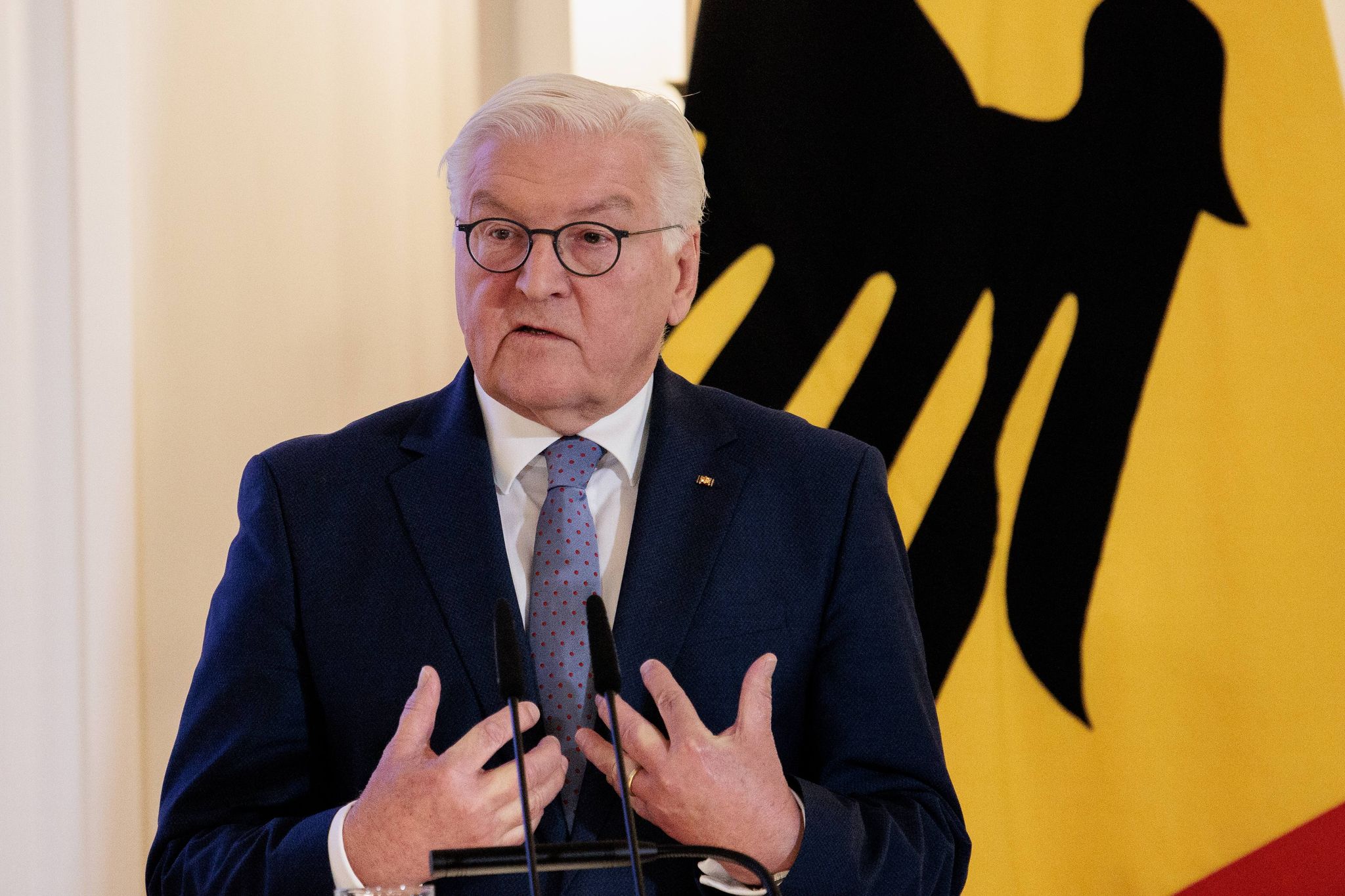 Steinmeier macht Weg für Neuwahl frei