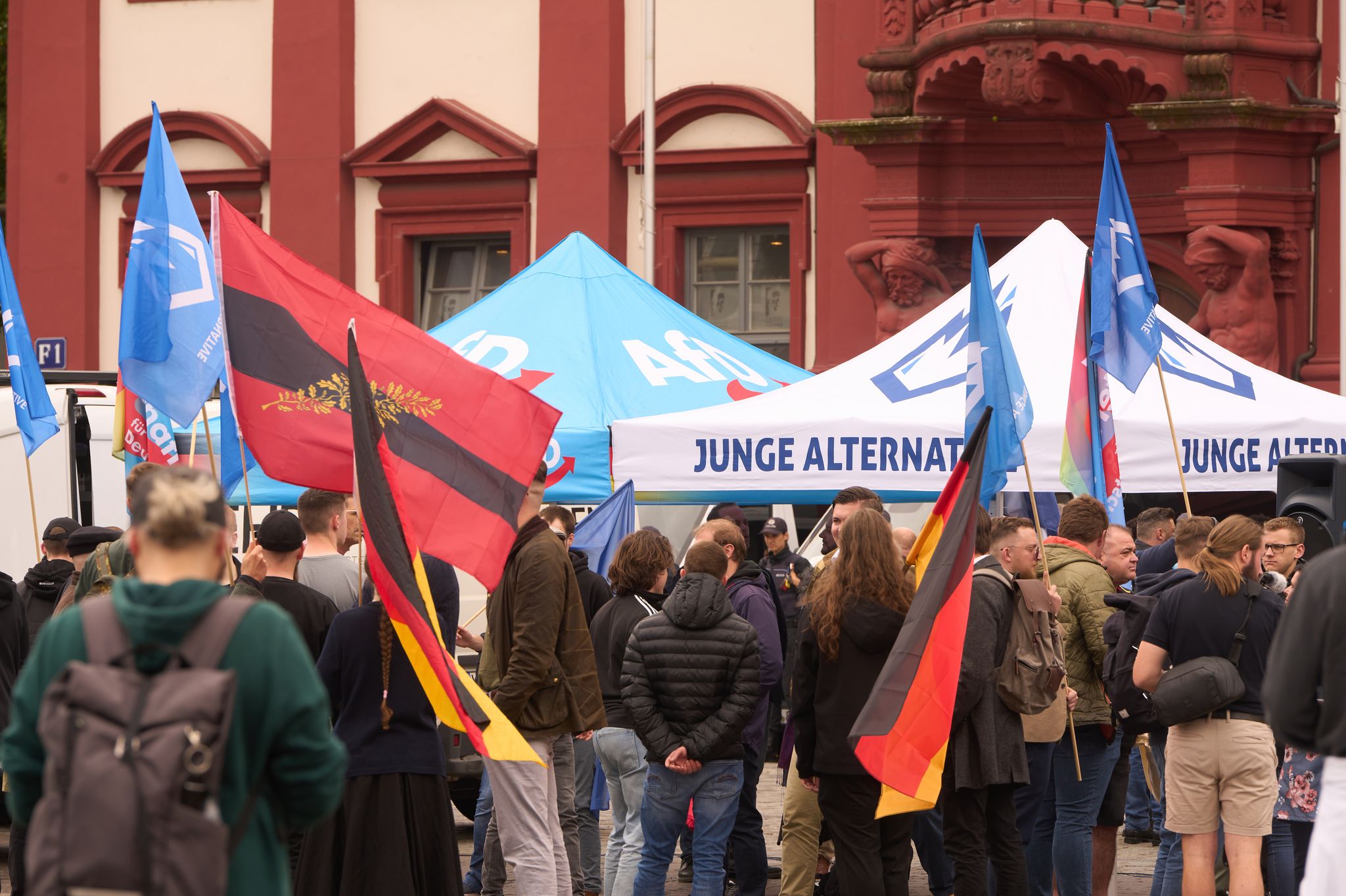 AfD-Spitze für Trennung von «Junger Alternative»