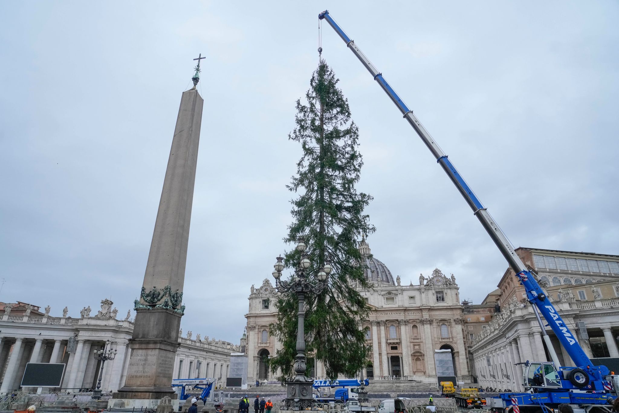 Umweltschützer protestieren: Kontroverse um päpstlichen Weihnachtsbaum in Rom