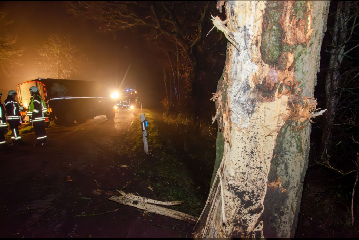 Verkehrsunfall: Milchlaster gegen Baum gefahren