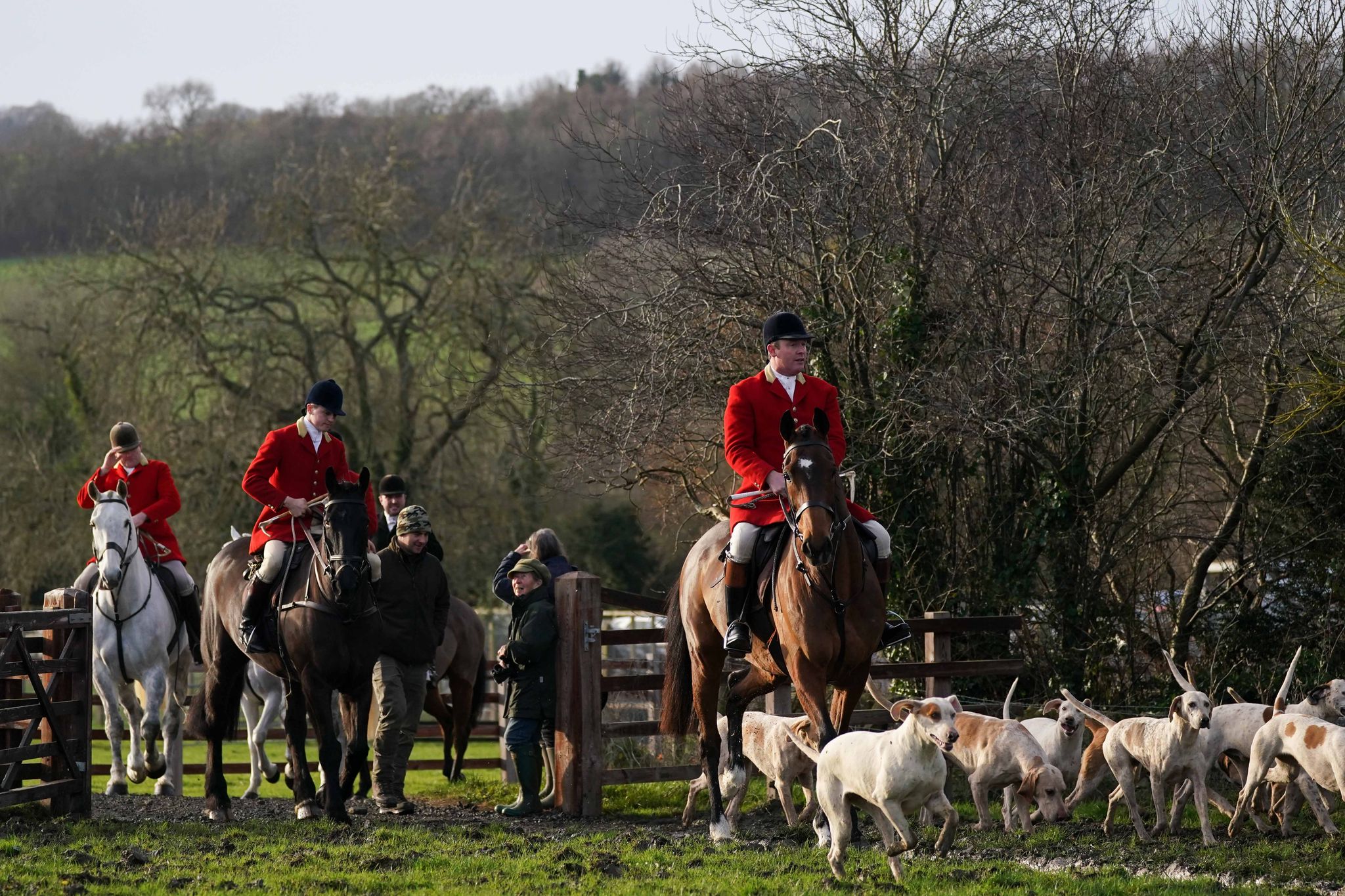 Laute Forderungen nach Jagdverbot in England