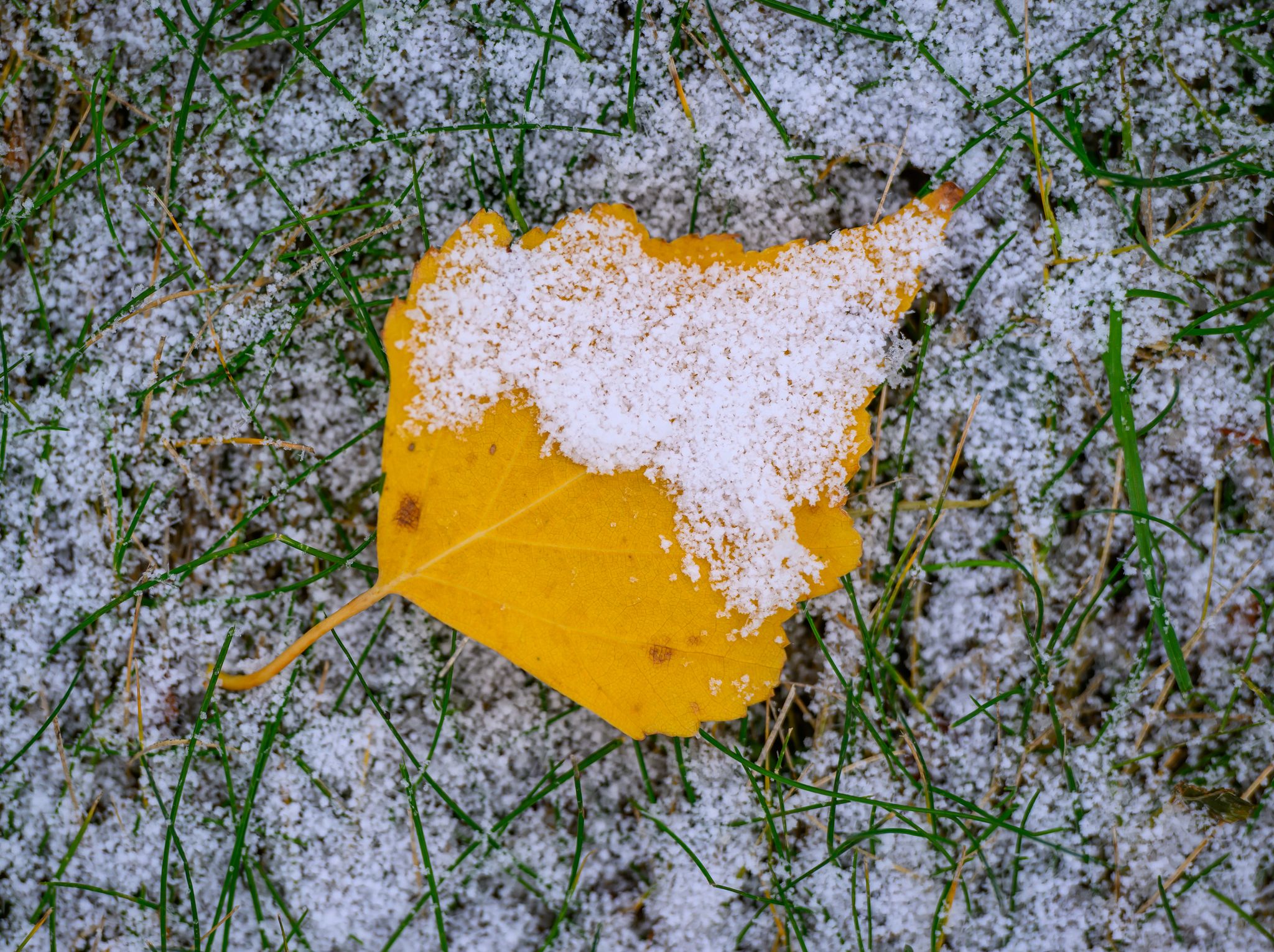 Winterliche Wetterlage in Deutschland bringt Schnee in höheren Lagen