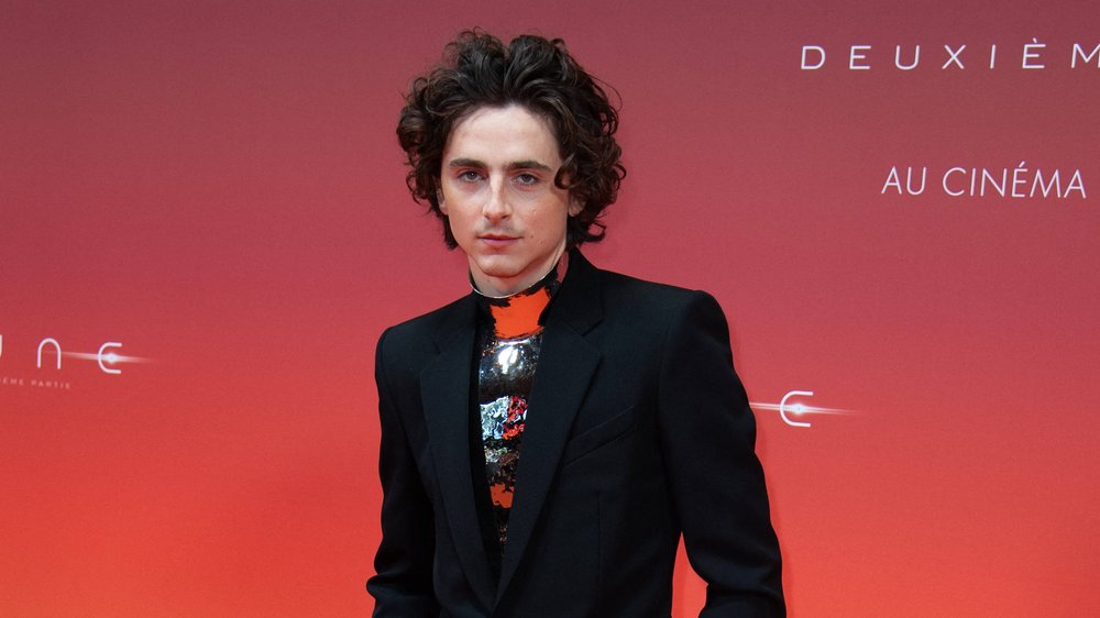 Timothée Chalamet verwirrt mit bizarrer Livestream-Performance