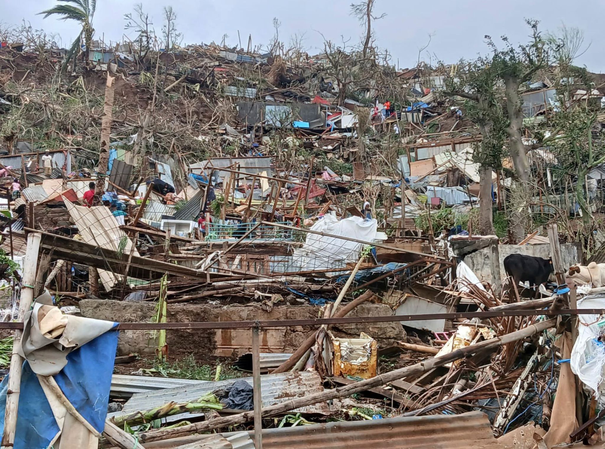 Verwüstung auf Mayotte durch Zyklon «Chido»