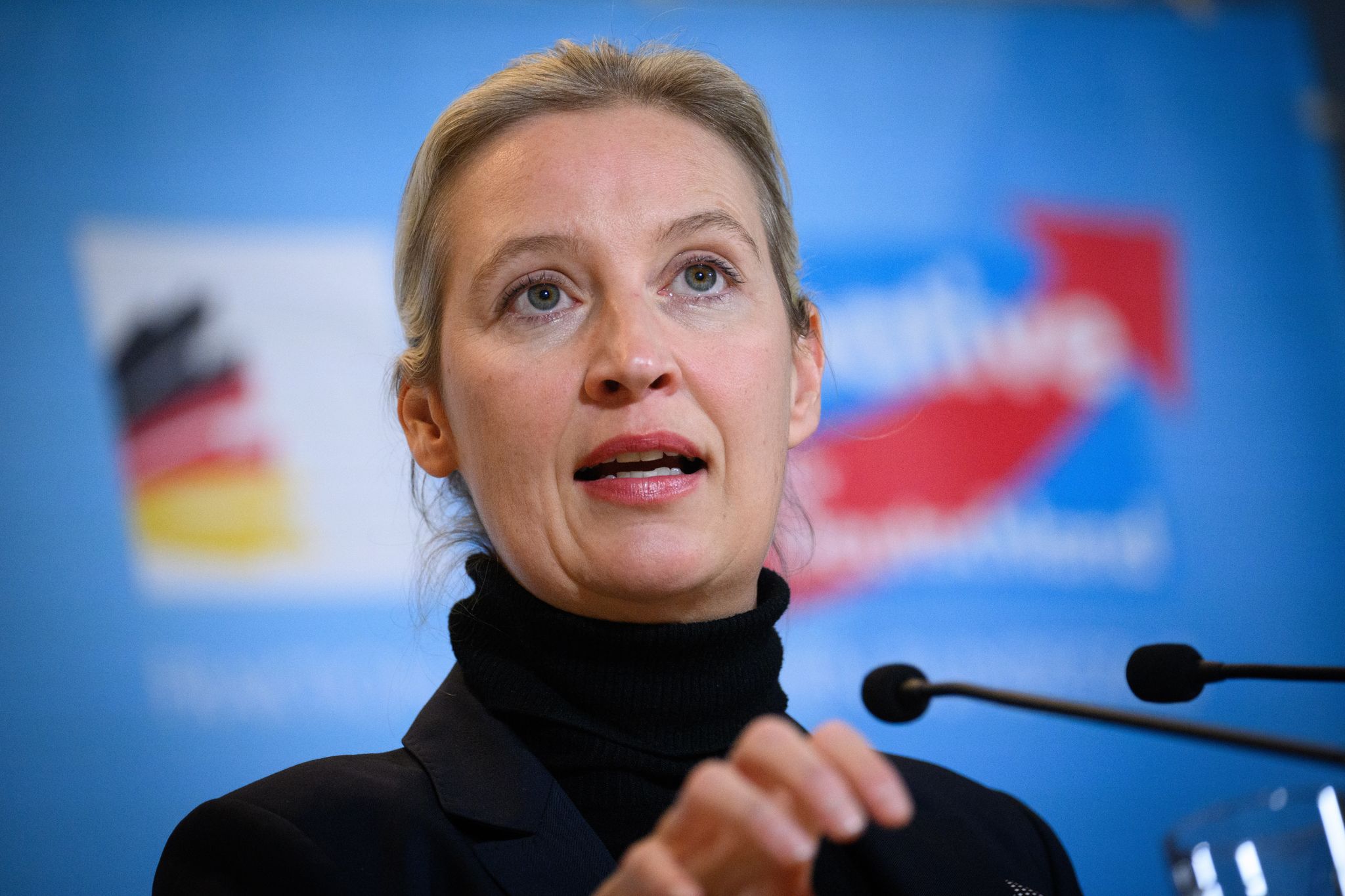 AfD-Chefin Weidel trifft Elon Musk auf X-Plattform