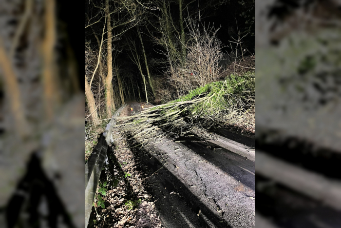 Schermbeck: Baum auf Fahrbahn