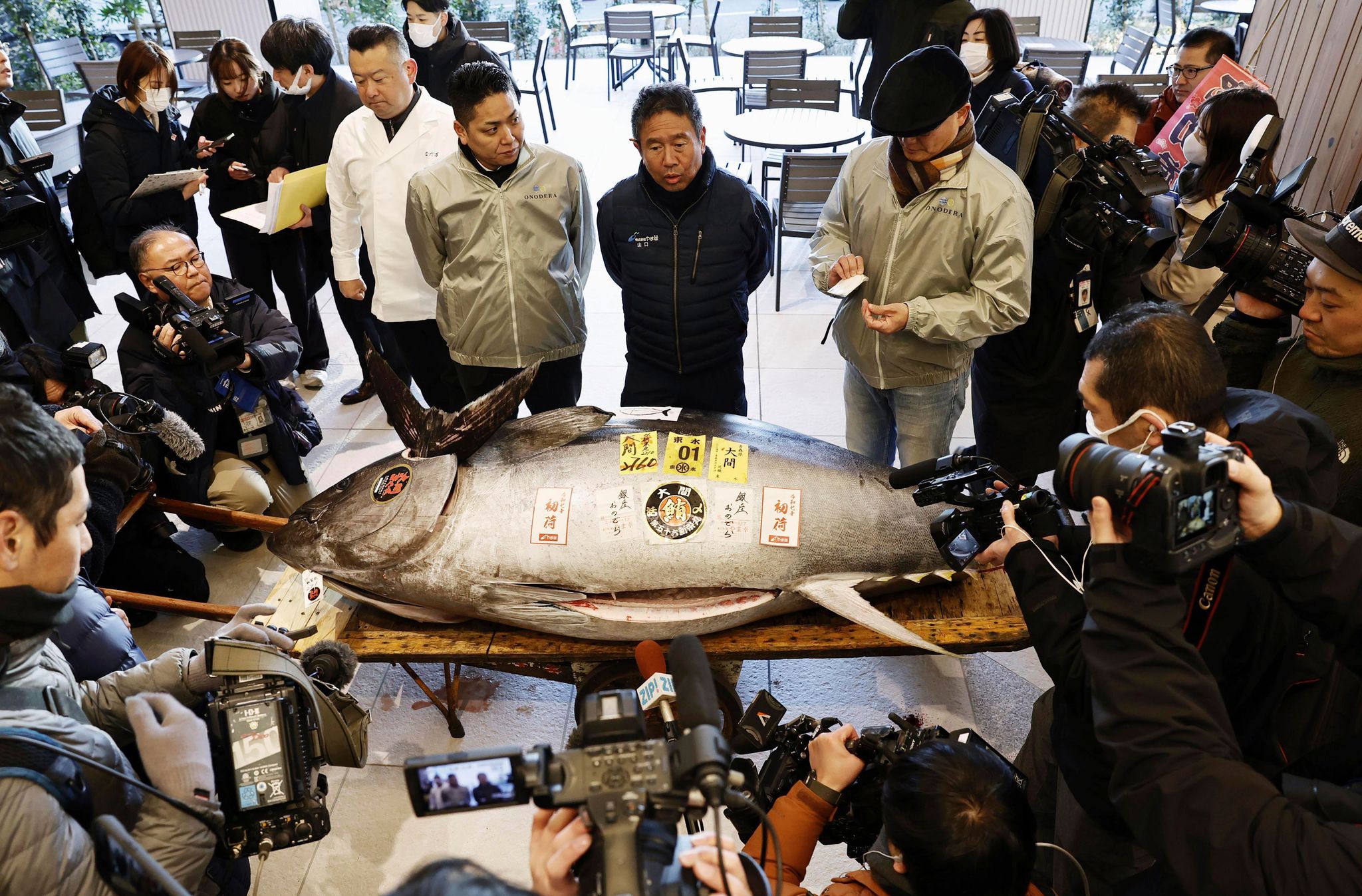 Erste Thunfisch-Auktion in Japan 2025 erzielt hohen Preis