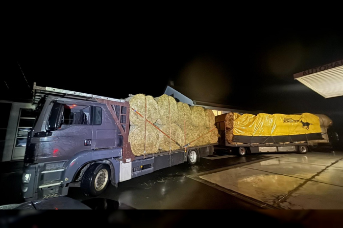 Lahn-Dill-Kreis: Überladener Holztransporter und Bußgelder