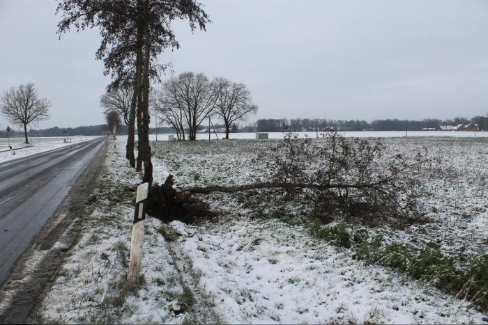 Warmsen: Verkehrsunfall zwischen Kreuzkrug und Großenvörde