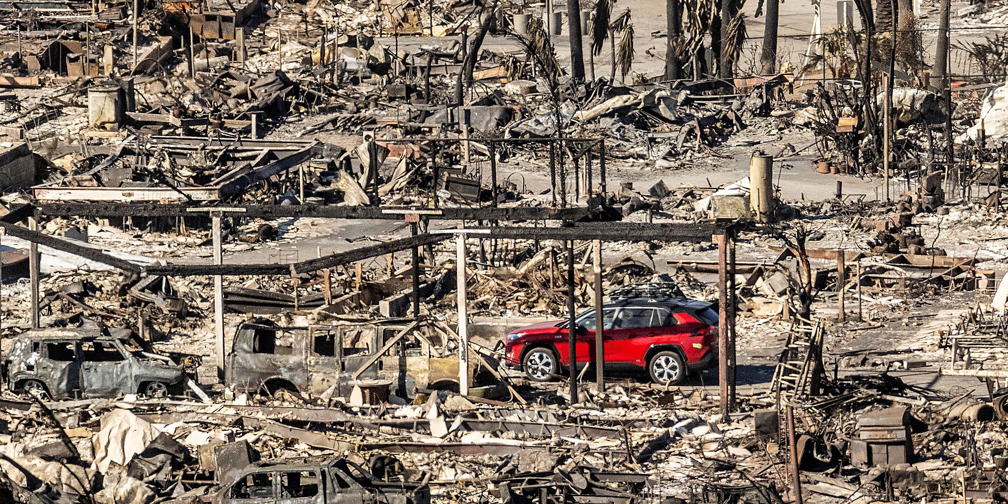 Los Angeles in Sorge vor Starkwinden und Bränden