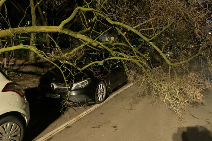 Sturmtief in Dortmund sorgt für Feuerwehreinsätze