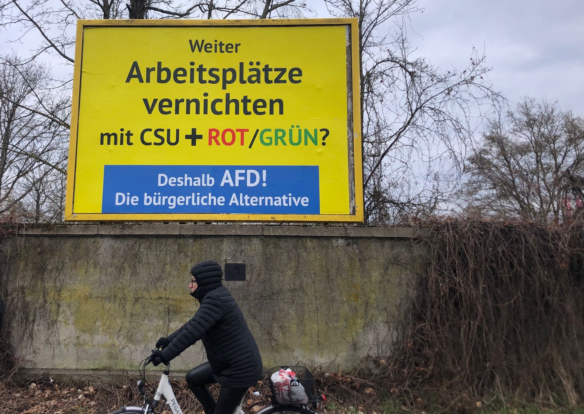 Österreichischer AfD-Gönner stellt bundesweit Plakate auf