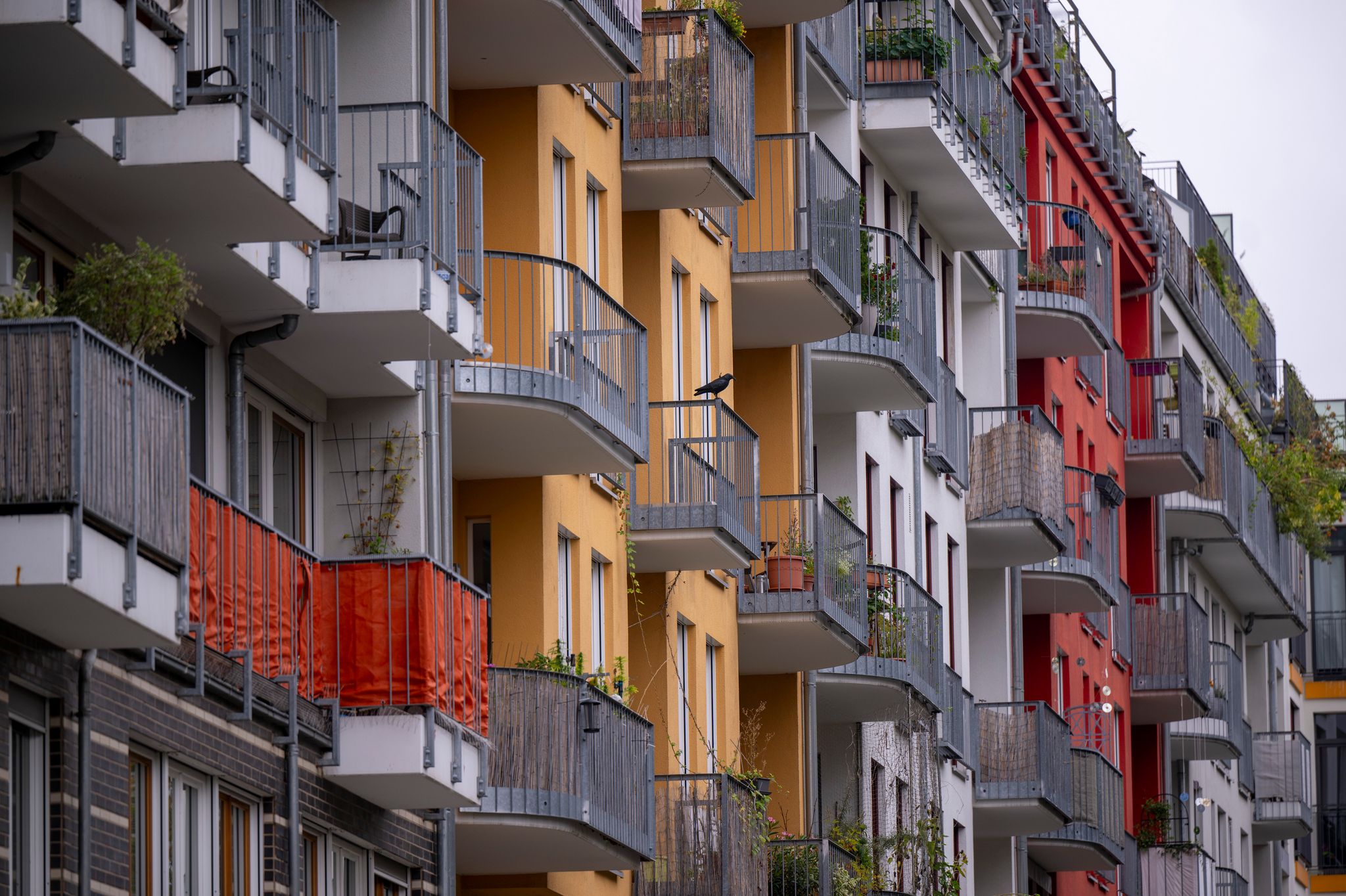 Streit in der Wohnungseigentümergemeinschaft: Wer zahlt was?