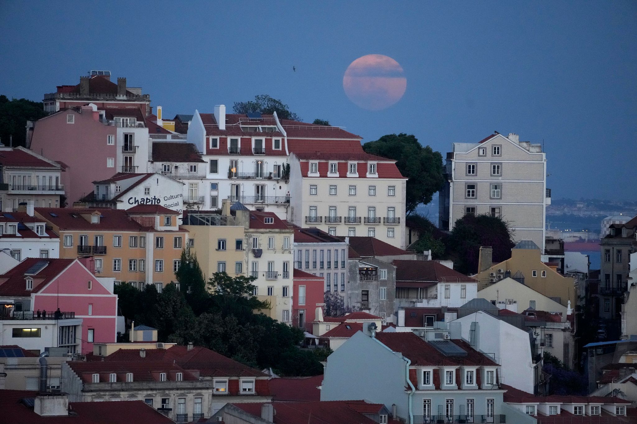 Beben erschüttert Portugal – «viel Angst», aber keine Opfer