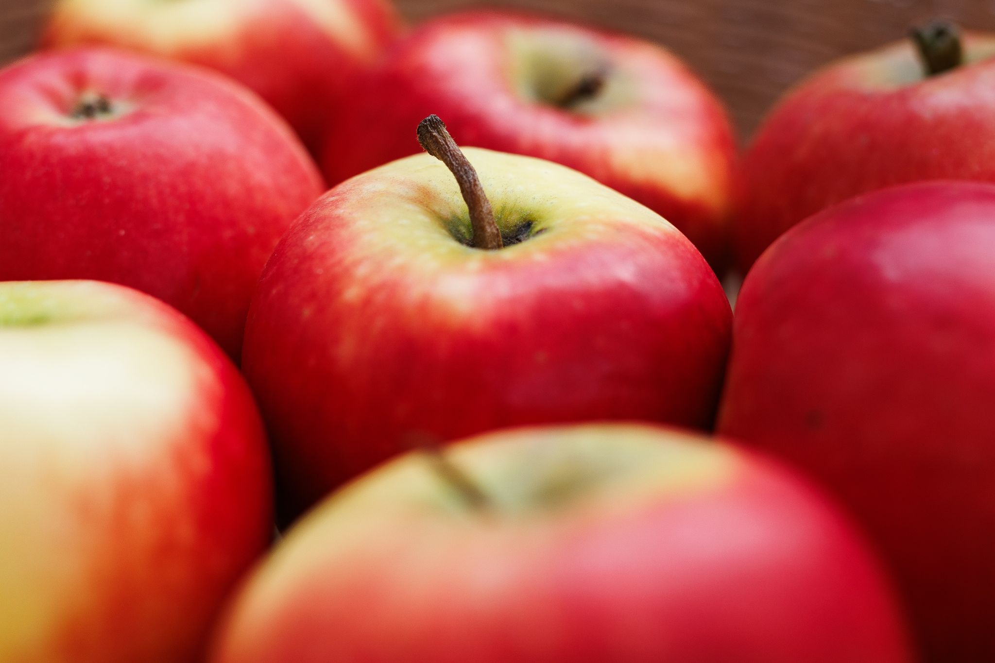 Apfel für Allergiker soll im Herbst in Supermärkte kommen