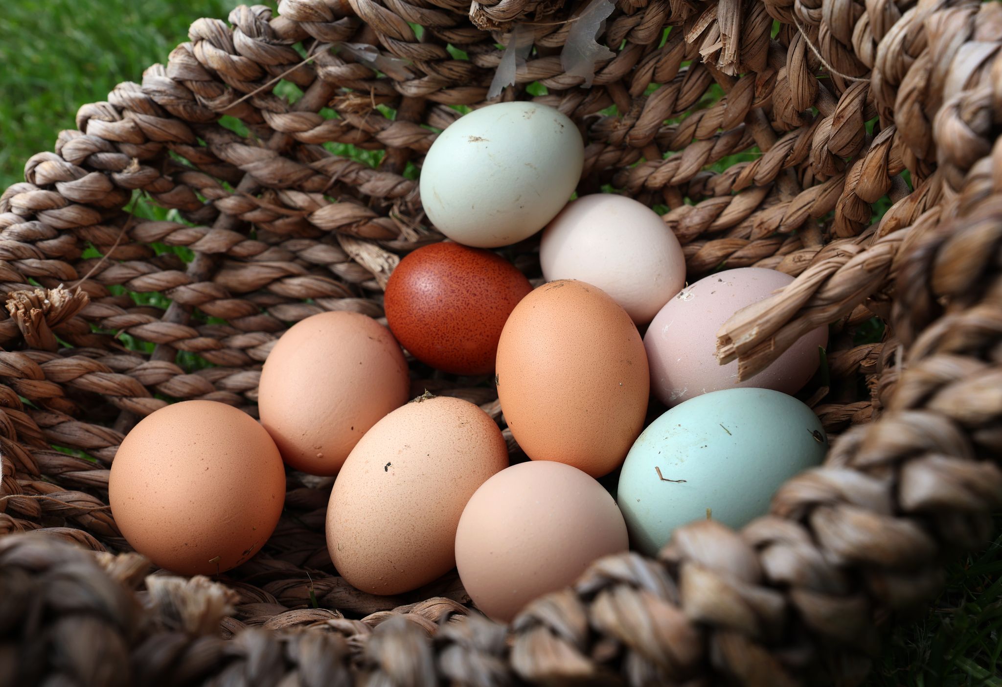 Italienische Physiker: So wird das Frühstücksei perfekt