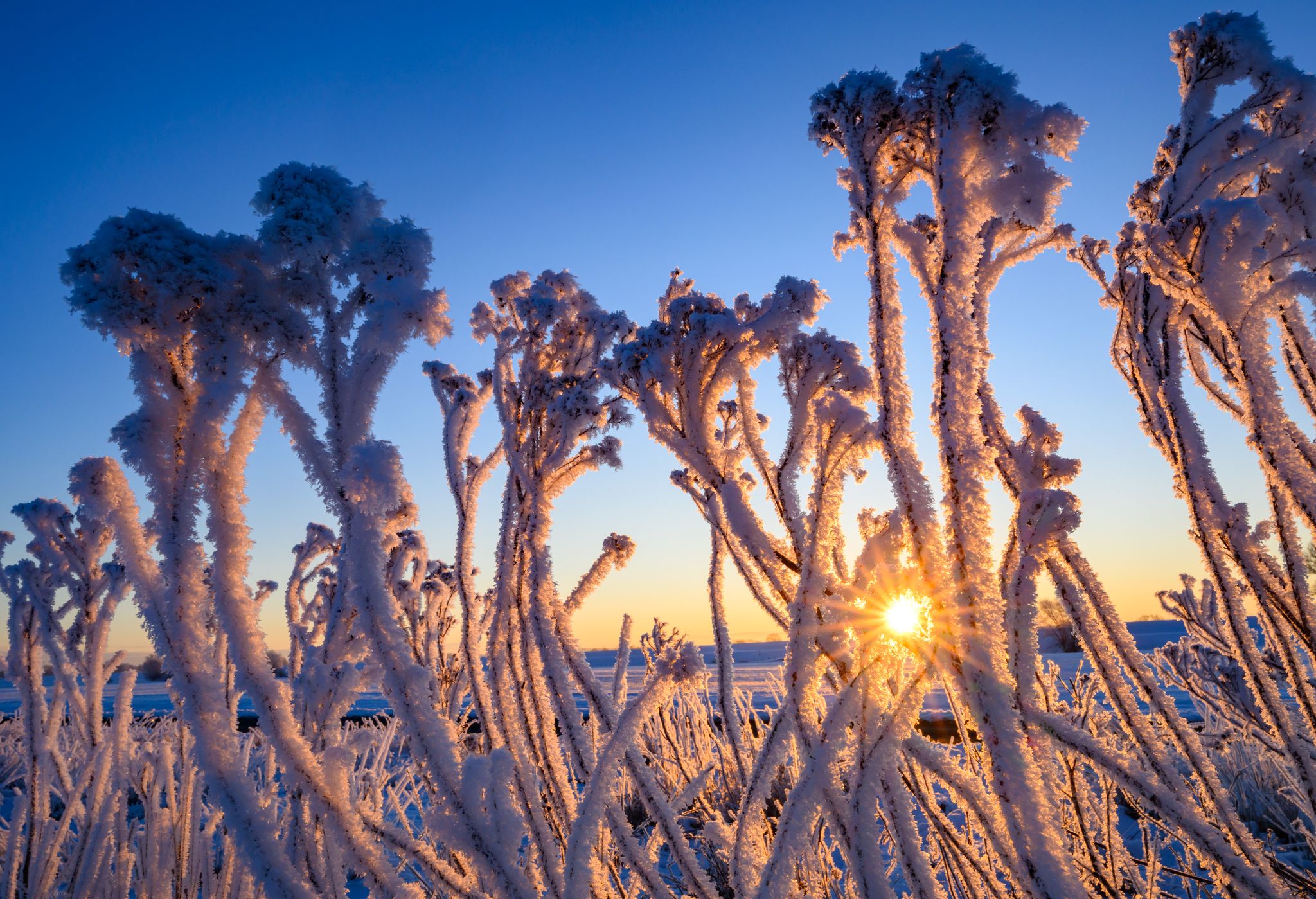 Minus 19,7 Grad im Erzgebirge gemessen