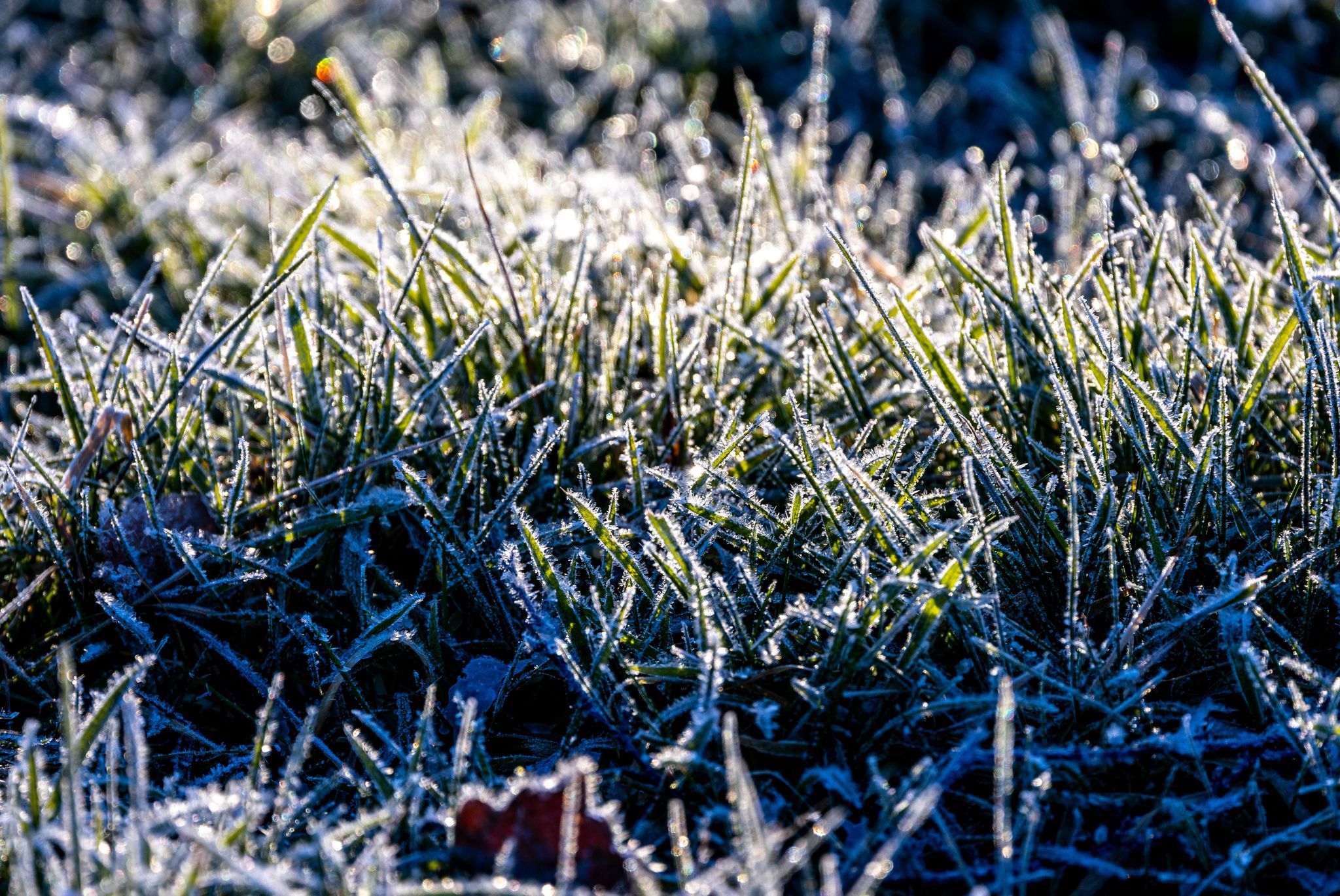 Frühlingshafte Temperaturen im Westen, eisige Nächte im Osten