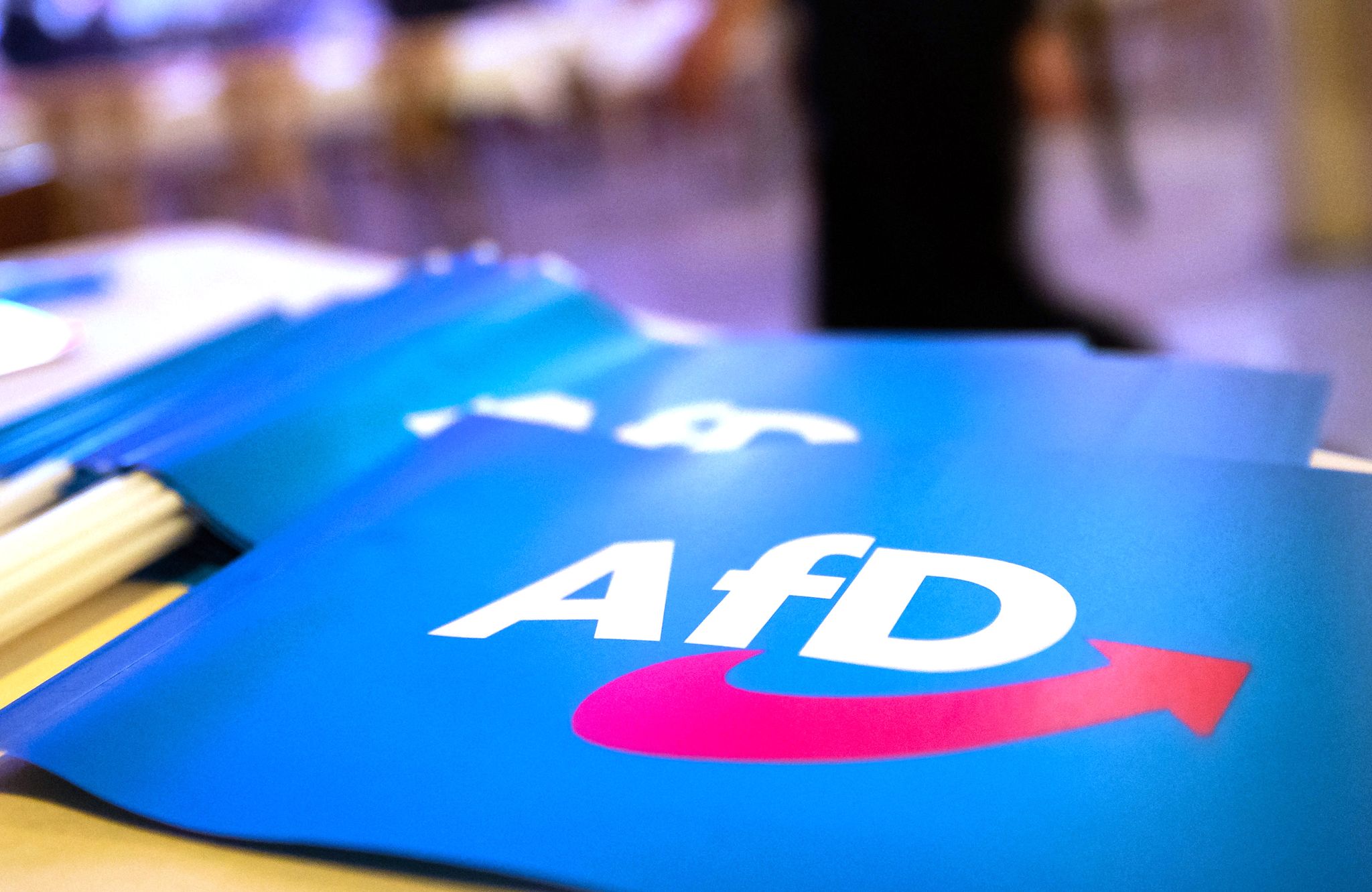 Berichte über Ermittlungen nach Großspende an AfD