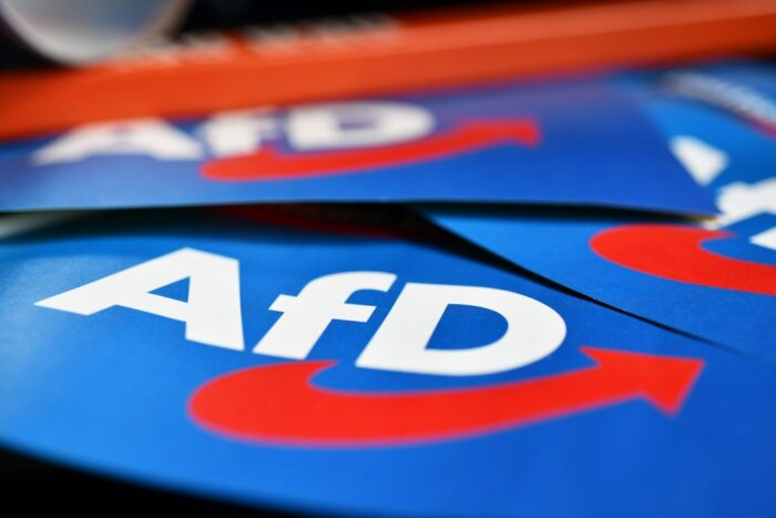 AfD Wahlprogramm 2025