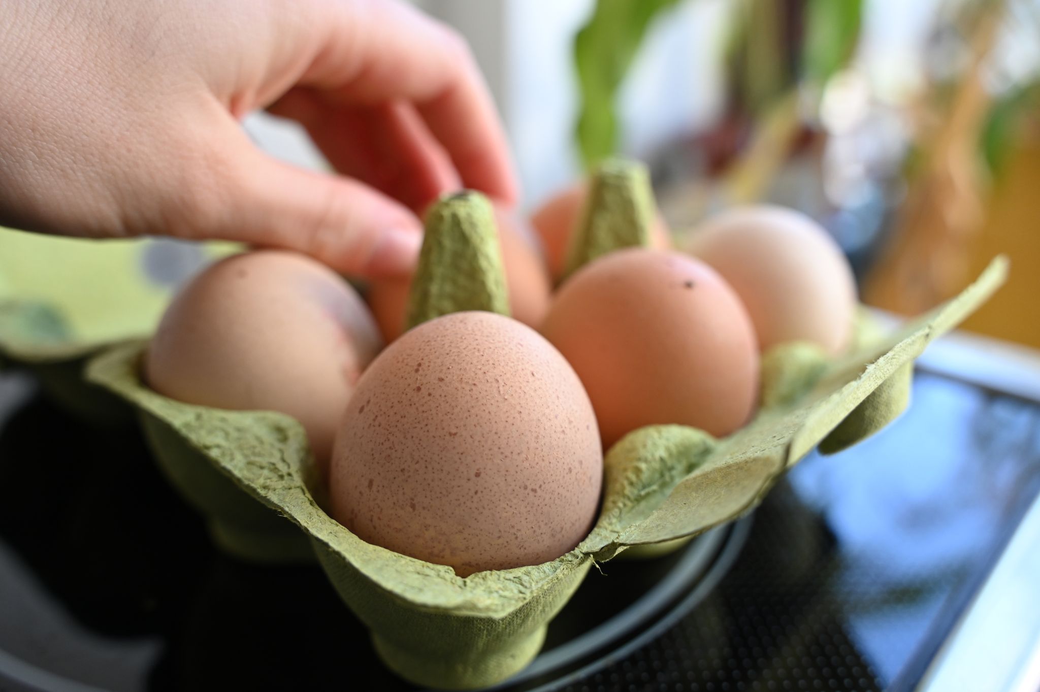 Eierknappheit zu Ostern – Ursachen und Auswirkungen