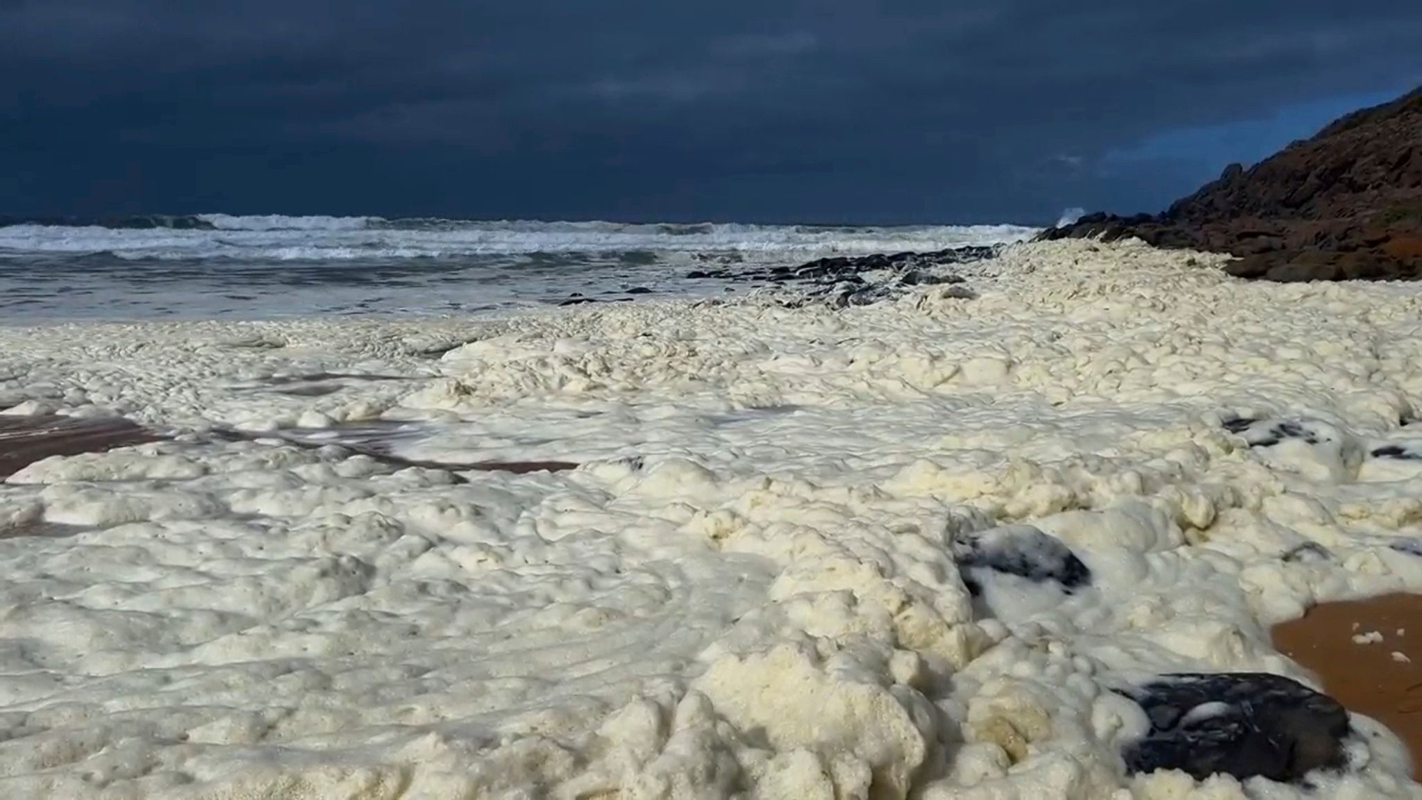 Gelber Schaum und kranke Surfer: Algenblüte in Australien?