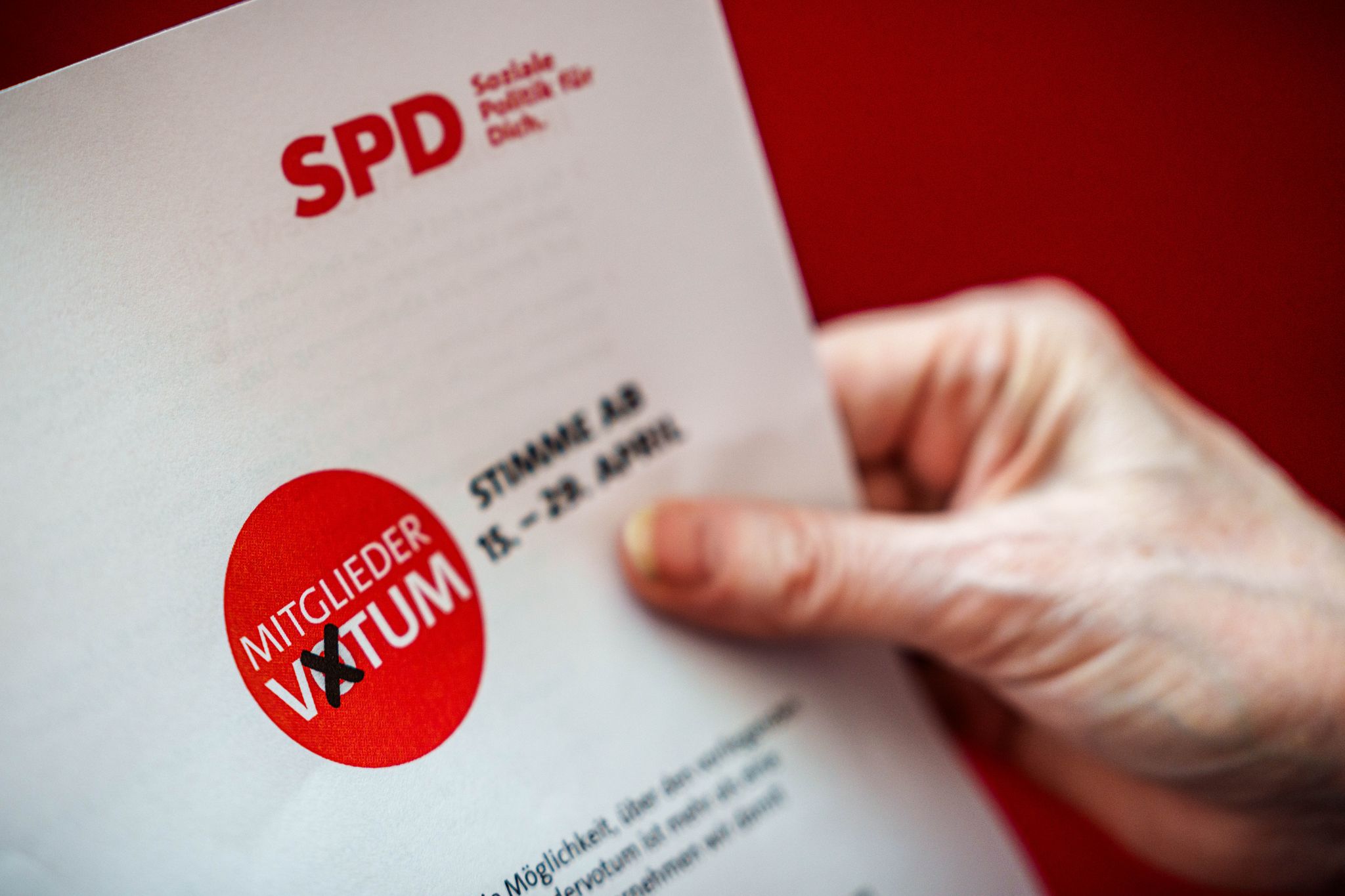 SPD-Abstimmung über Koalitionsvertrag hat begonnen