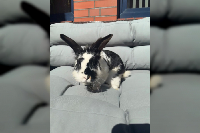 Leherheide: Ostervorbereitungen in Bremerhaven