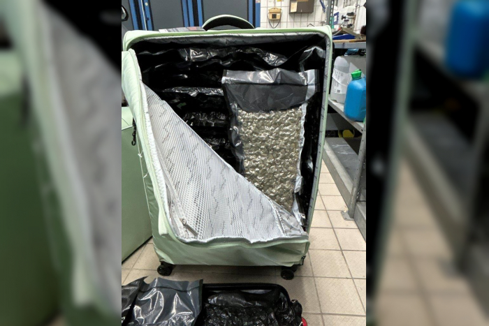 Griesheim: Illegaler Cannabishandel in Darmstadt