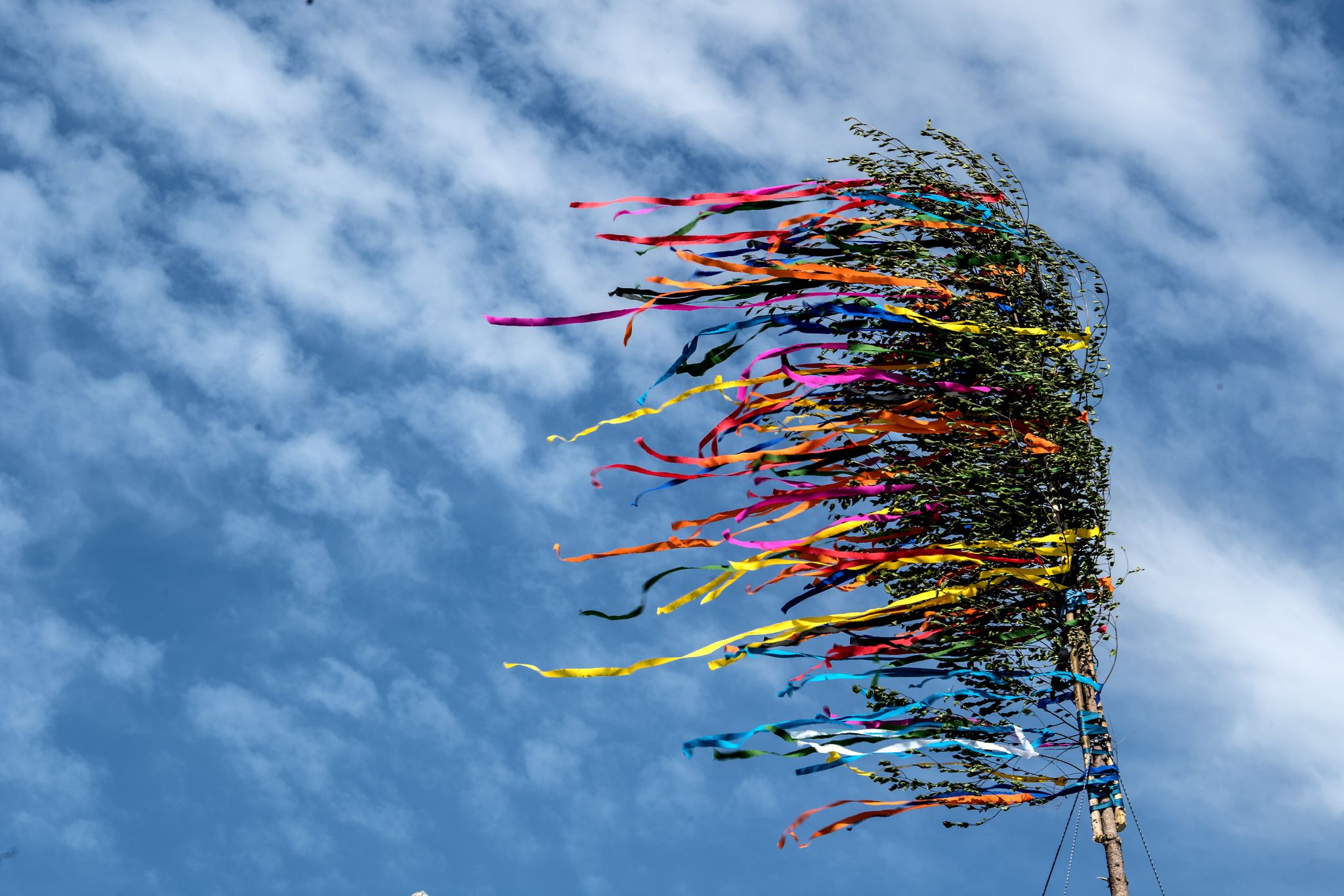 Maibaum kippt um – mehrere Verletzte