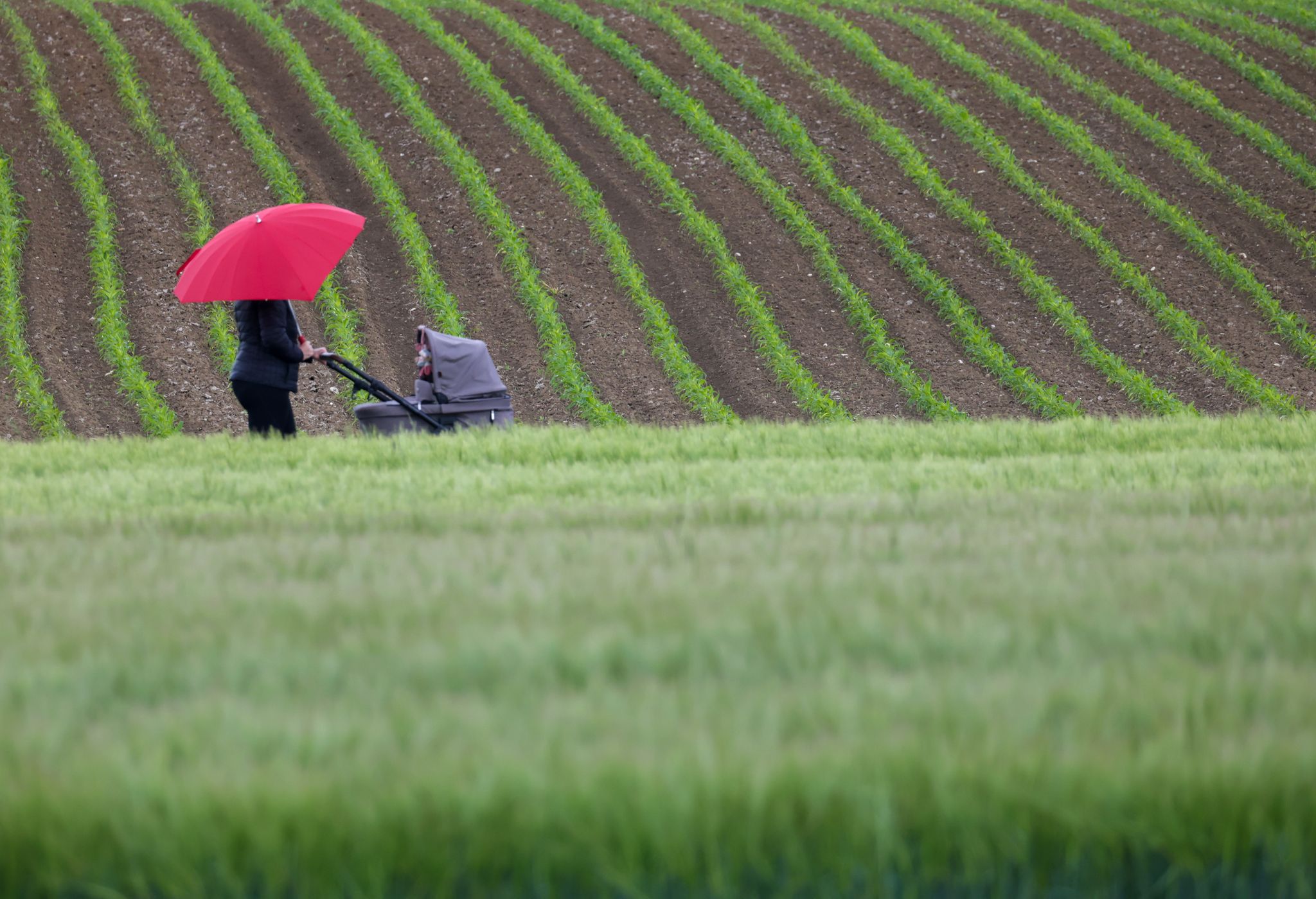 Wettermix am Feiertag – zum Wochenende wärmer