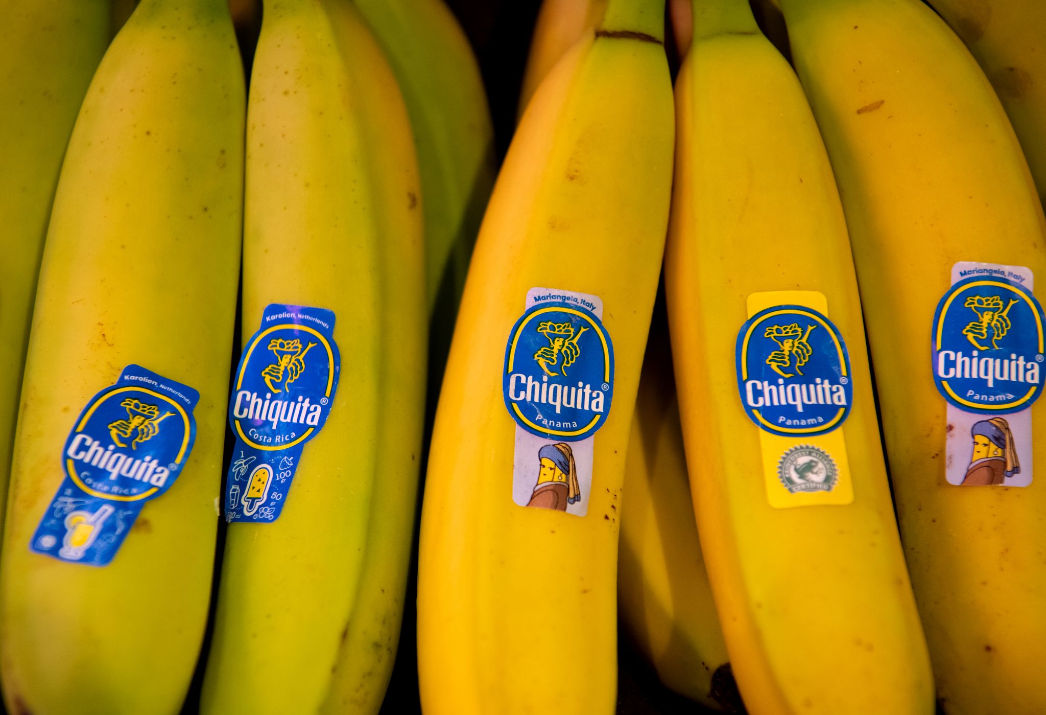 Entlassungen von Bananenarbeitern in Panama haben geringe Auswirkungen auf deutschen Markt