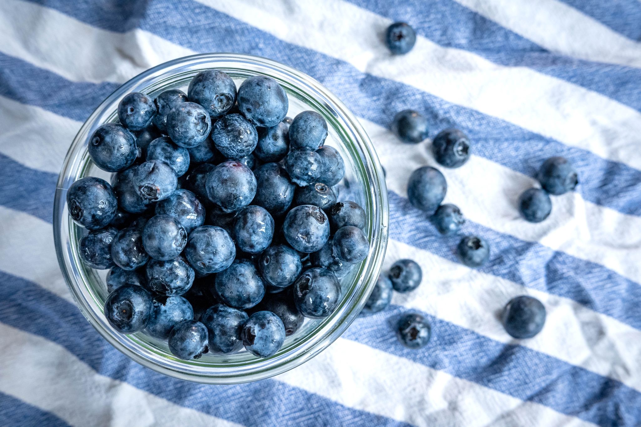 Die Heidelbeere, die Kim Kardashian des Obstkorbs