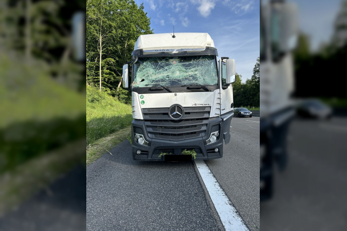 Landkreis Hersfeld-Rotenburg: Umgefallener Baum auf Autobahn A7 zertrümmert Windschutzscheibe von LKW