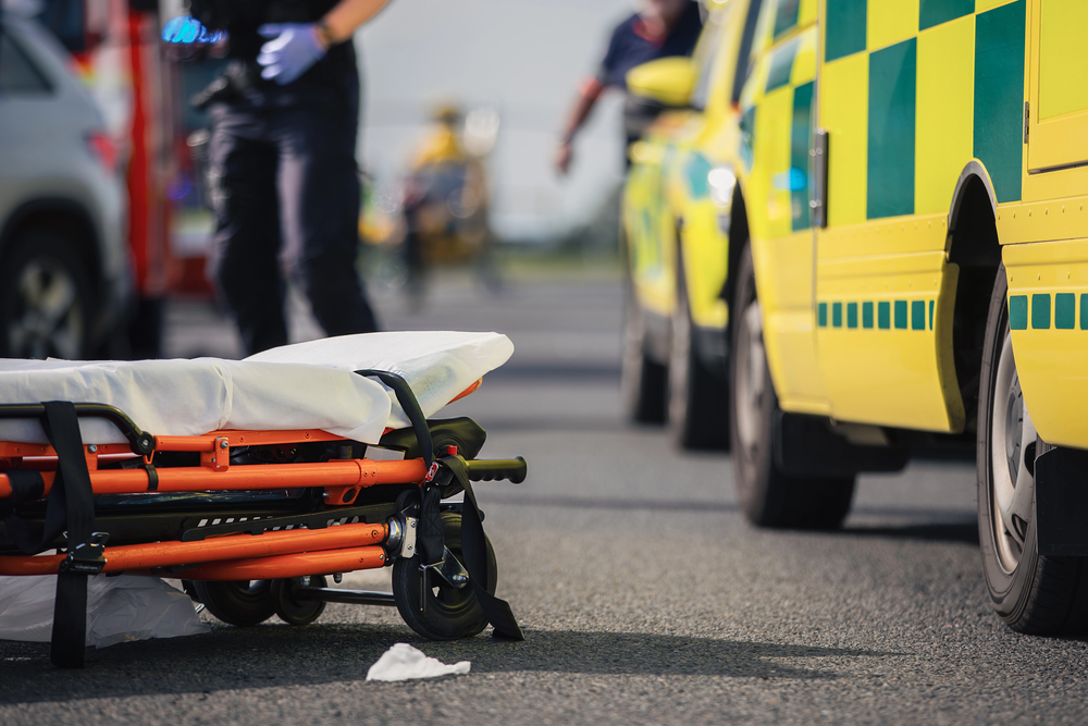 Teenagerin tot im Wald gefunden – 14-Jährige festgenommen