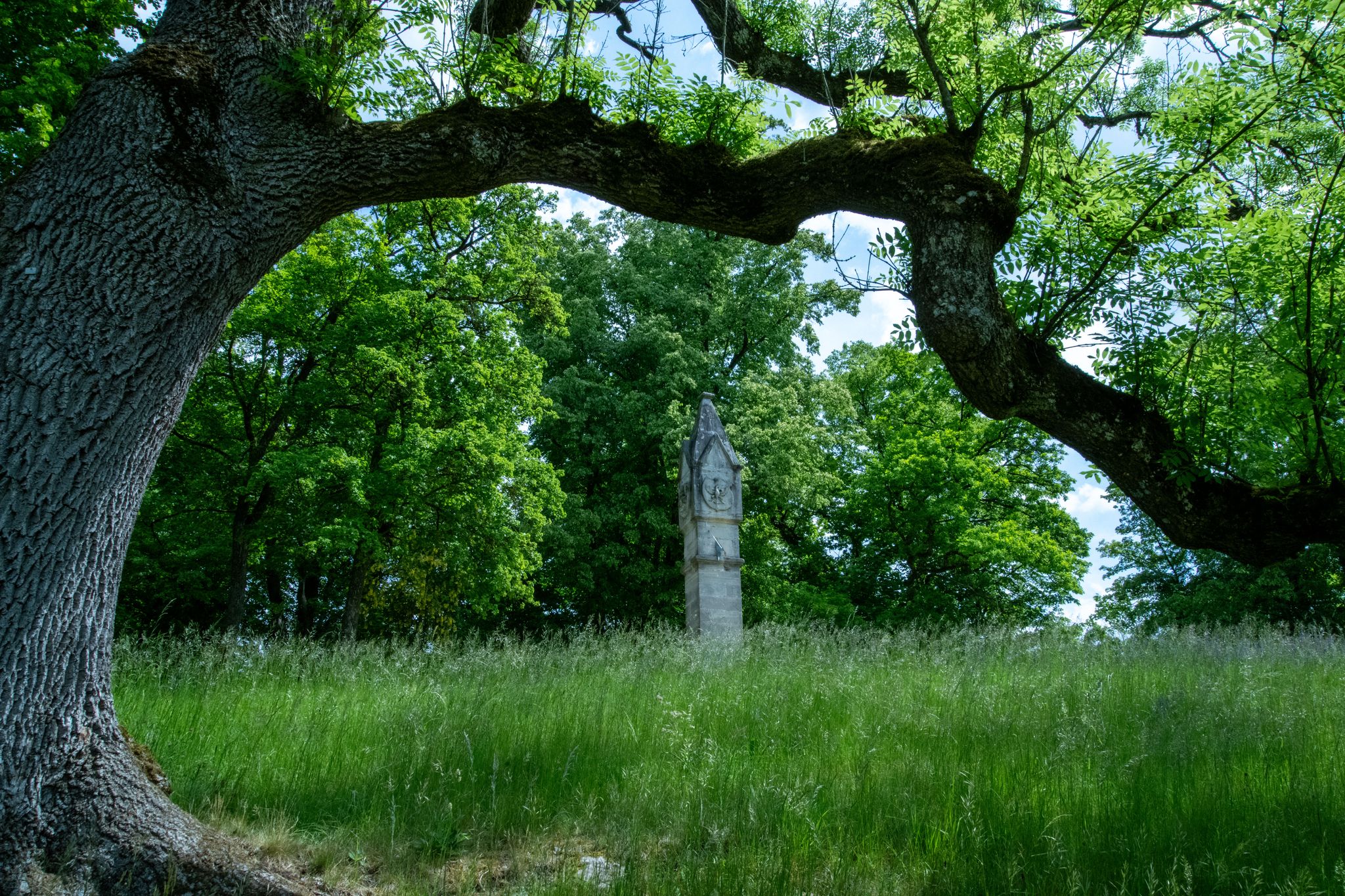 Historische Parks und Gärten in Gefahr