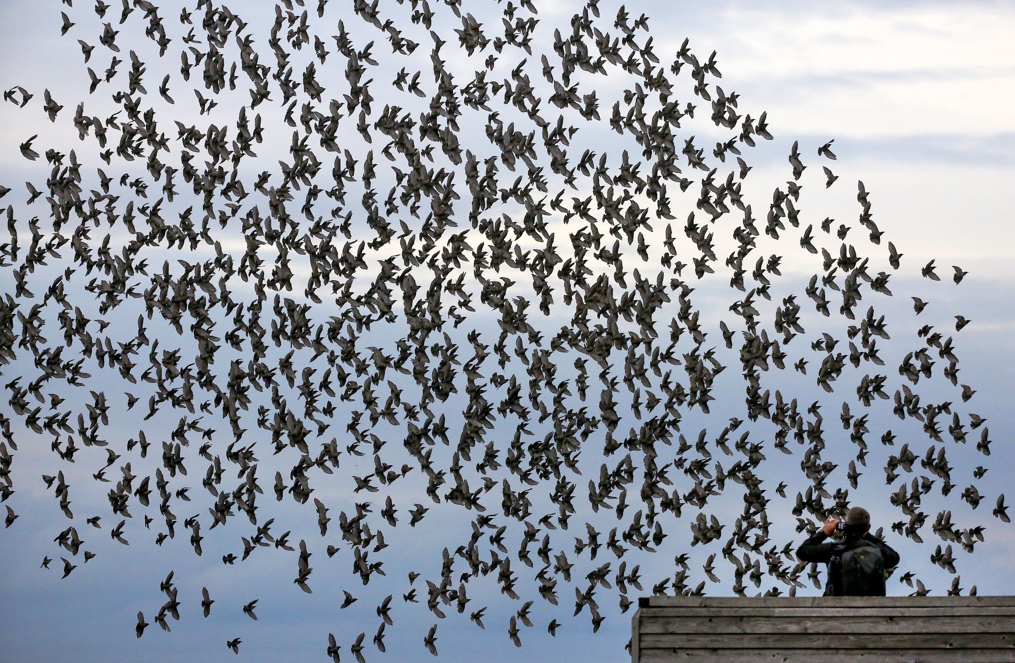 Natur im Fokus – Wenn Fotos Tiere stören