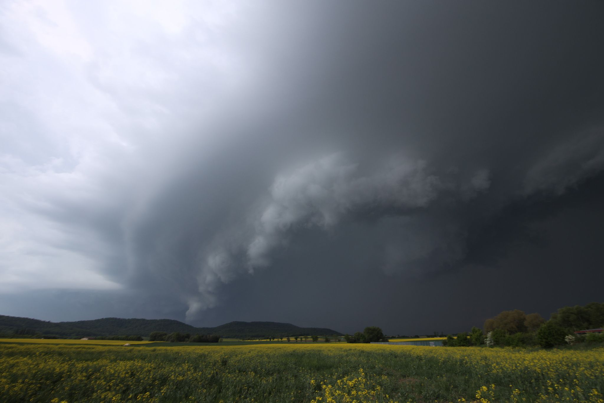 Verletzte bei Unwetter – Bäume auf Gleisen und Autos