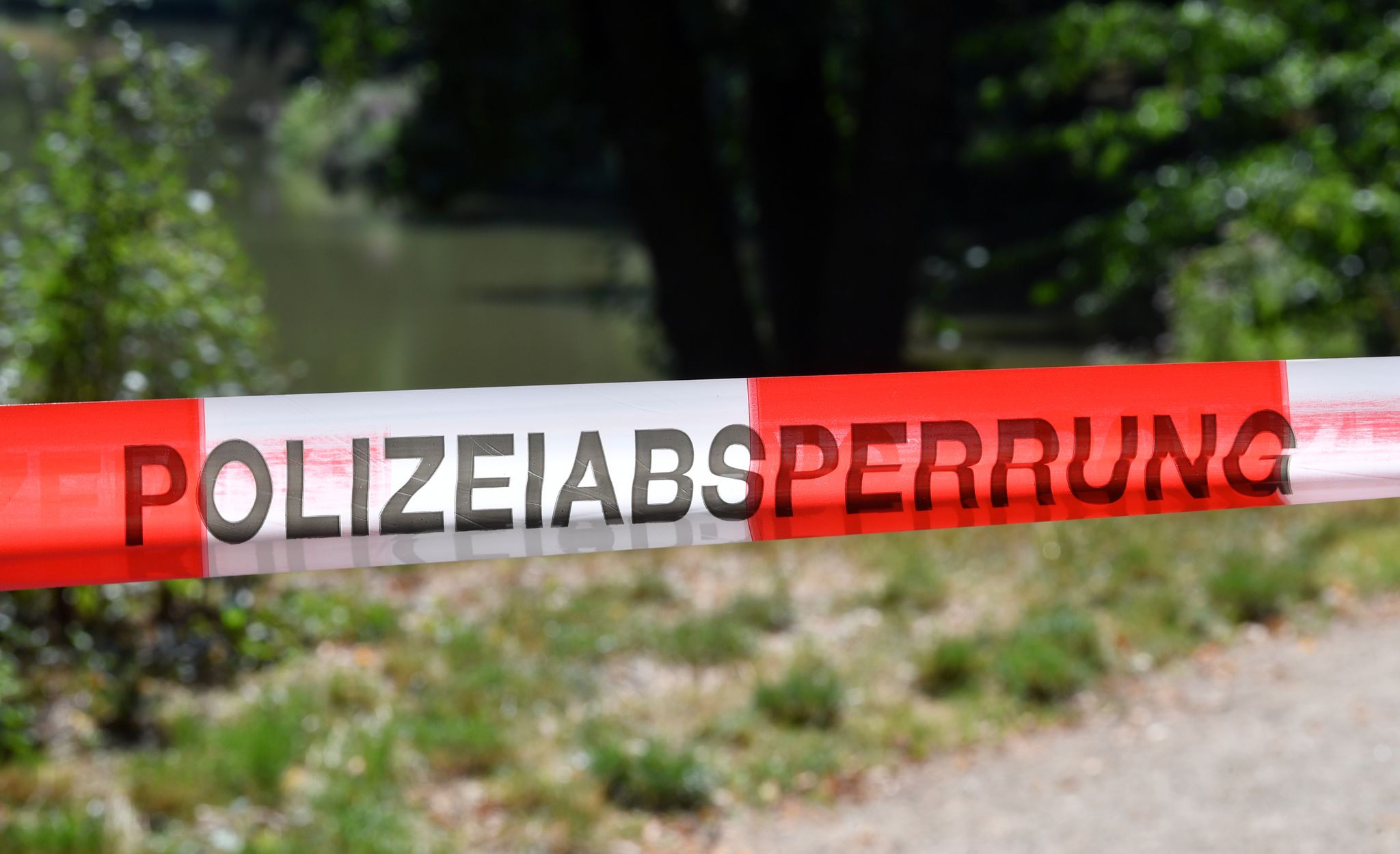 21-Jährige liegt tot im Wald – Was wir wissen und was nicht