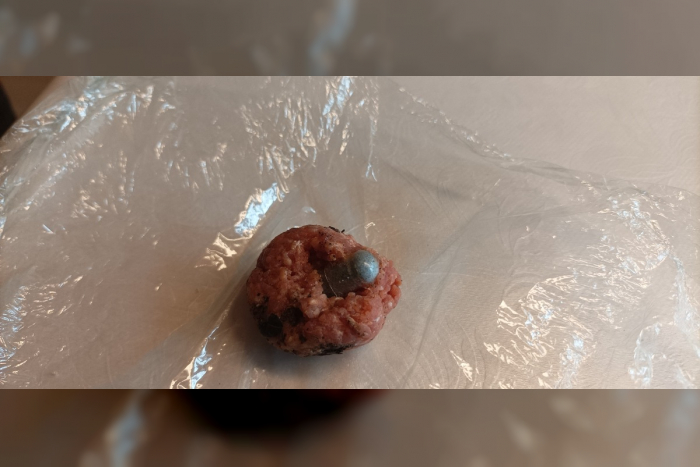 Gefundene Hackbällchen in Kasseedorf – Polizei sucht Zeugen