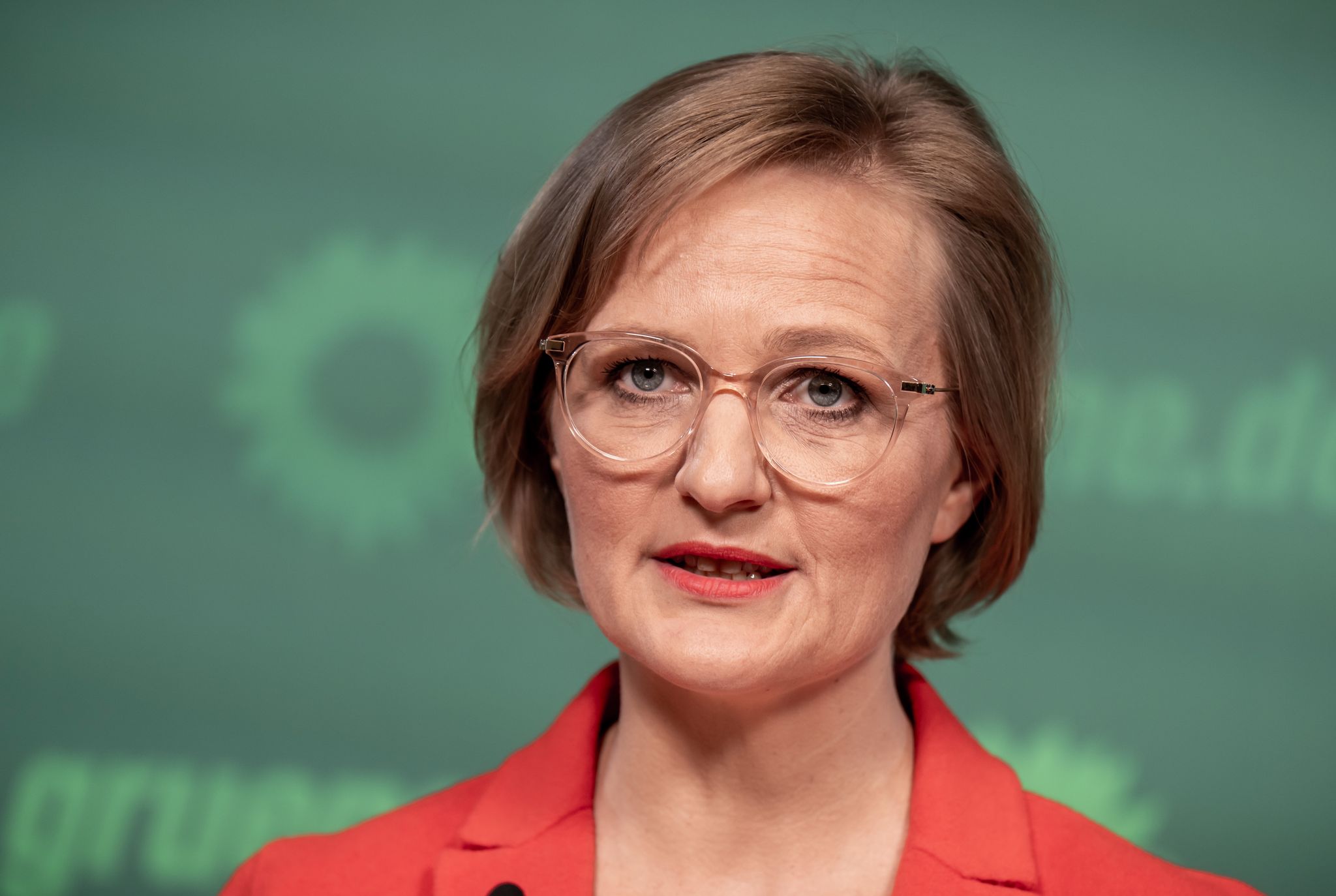 Grünen-Spitze wünscht sich Gespräche über AfD-Verbotsantrag