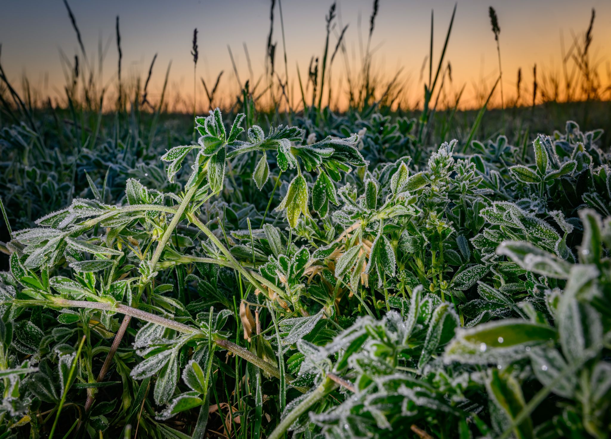 Frostige Nächte und kühles Wetter