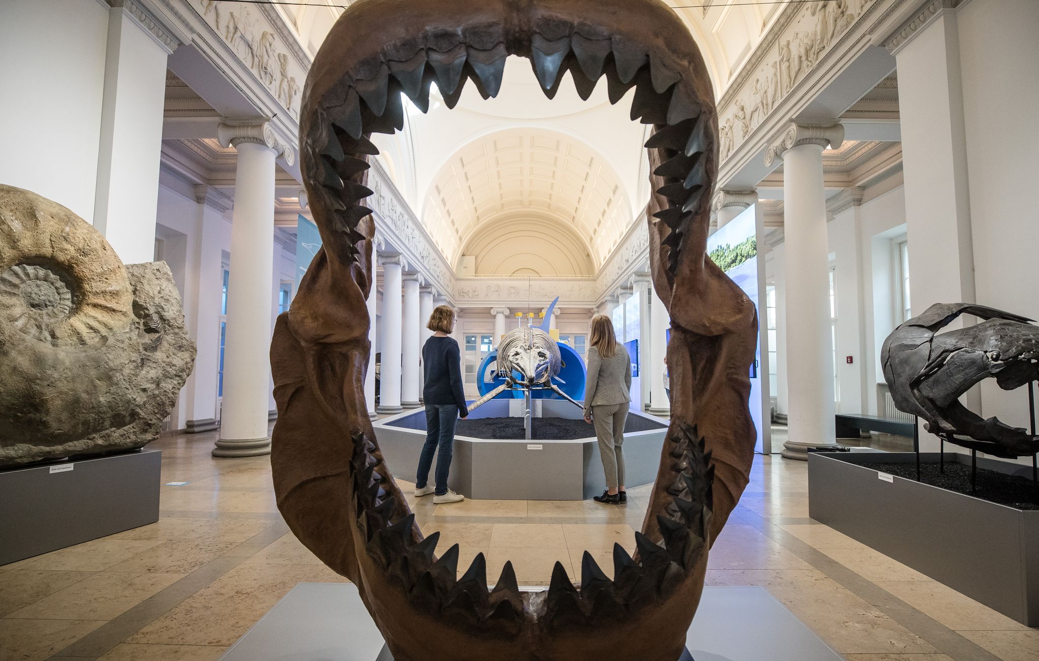 Das Großmaul Megalodon schnappte auch nach kleinen Fischen